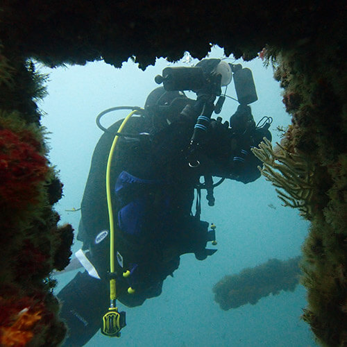 Specialty courses include he photography specialty