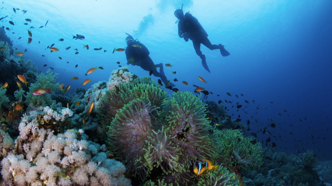 Diving in Spain